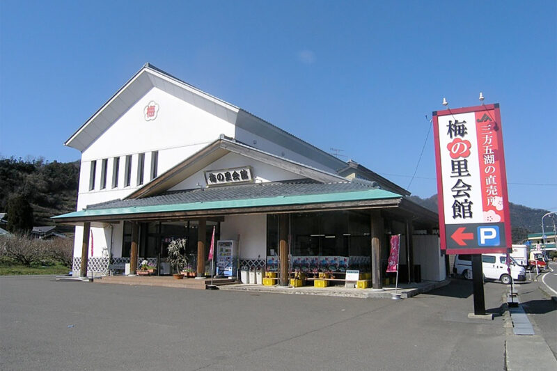 日本海側最大の梅産地若狭三方の「しそ＆はちみつ漬けの梅干し」